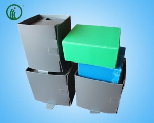 Corflute Collapsible Corrugated Boxes