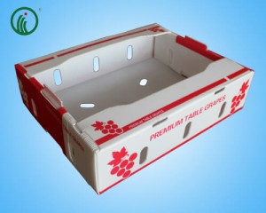 Foldable Plastic Corrugated Grape Box