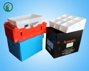Corrugated Plastic Shipping Boxes